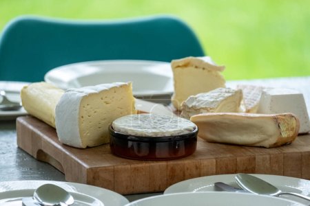 A variety of gourmet cheeses are tastefully arranged on a wooden cutting board, ready to be enjoyed. The selection includes soft, creamy cheeses, each with a distinct texture and rind. The board is
