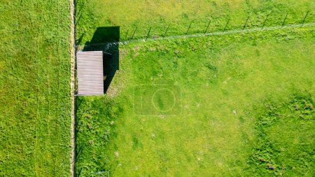 This aerial photograph captures a solitary small shed with a gabled roof in the middle of a vibrant green pasture. The structure casts a crisp shadow on the ground, indicating the sun is at its zenith