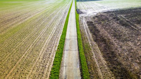Das aus der Luftperspektive aufgenommene Bild fängt die Teilung landwirtschaftlicher Flächen durch einen zentralen Weg ein. Der Weg wird von grünen Rasenstreifen flankiert, die einen natürlichen Kontrast zu den