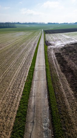 Esta imagen aérea vertical muestra una carretera rural, ya que corta una línea recta a través de tierras de cultivo contrastantes. Por un lado, la tierra muestra filas de crecimiento temprano de los cultivos, presentando un patrón de agricultura
