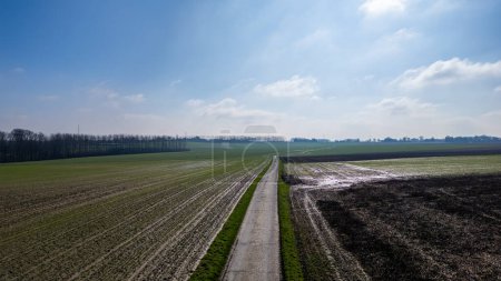 This aerial image captures a long, straight country road cutting through diverse agricultural fields. On one side, the field shows the green of early crop growth, while the other side is a darker