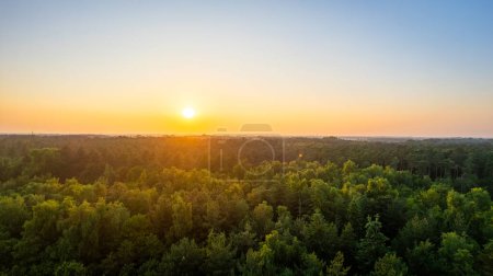 This image portrays a tranquil scene of the sun setting over a dense forest canopy. The warm sunlight filters through the trees, casting a golden glow over the green expanse. The uninterrupted view of