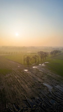 Portrait of a hushed farmland at sunrise, where dew glistens on fields and silhouetted trees stand against the soft dawn light. Sunrise Over a Dewy Farmland: A Portrait of Early Morning Agriculture