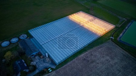 Twilight descends on a vast greenhouse, its interior lights a beacon in the serene rural expanse. Aerial View of Illuminated Greenhouse at Twilight in Rural Landscape. High quality photo