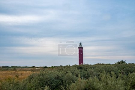 Photo for In this landscape, the vivid crimson of the lighthouse provides a stark contrast to the muted greens and browns of the coastal shrubbery under a subdued, cloudy sky. The lighthouse, positioned - Royalty Free Image