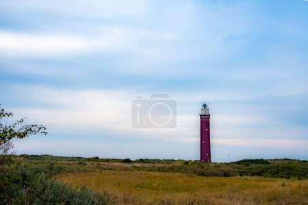 The image depicts a stately lighthouse standing tall amidst a sprawling coastal heath. The lighthouses striking red and white colors create a focal point against the muted tones of the surrounding