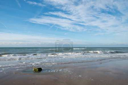 Cette image invitante montre une large vue sur une plage de sable sous un vaste ciel bleu strié de nuages tordus. Des vagues douces coulent à terre, créant des motifs mous et mousseux sur le sable. Un morceau solitaire de