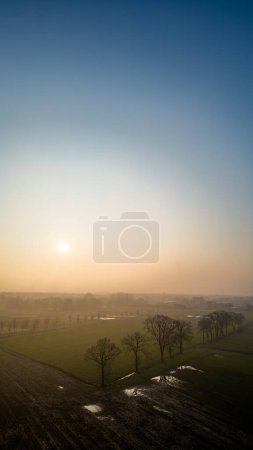 Dans cette perspective verticale, le soleil paisible du matin s'élève sur un paysage agricole enveloppé de brume, illuminant de délicates silhouettes d'arbres. Lever de soleil doux sur un paysage agricole brumeux