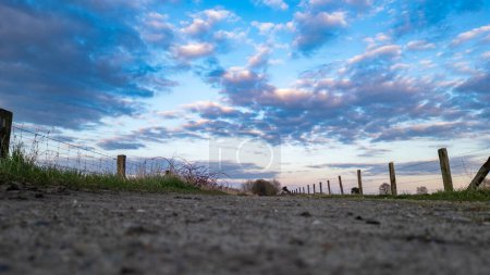Eine ebenerdige Perspektive fängt eine Landstraße ein, die in einen lebhaften Abendhimmel führt, geschmückt mit einer dramatischen Wolkenlandschaft. Dramatische Wolkenbilder aus dem Erdreich entlang einer Landstraße. Hochwertiges Foto