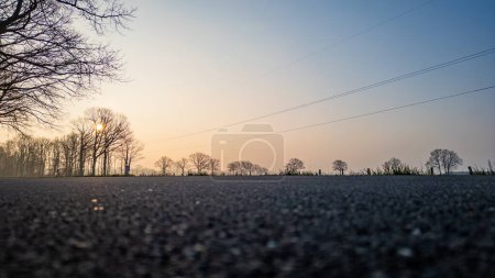 The horizon awakens as a countryside road leads into a sunrise silhouette of trees against a clear dawn sky. Low Angle View of Sunrise on a Countryside Road with Silhouetted Trees. High quality photo