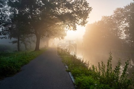 This image invites the viewer into a serene journey along a path that cuts through a landscape shrouded in the soft embrace of early morning mist. The sun, a hazy orb in the sky, filters its light