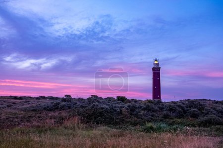 This captivating image showcases a lighthouse bathed in the fading light of twilight, standing tall amidst the wild heath. The dusky sky transitions from deep blue to soft pink and purple hues, adding