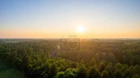 Cette image capture un magnifique lever de soleil, avec des rayons dorés se répandant sur un paysage forestier luxuriant. L'horizon est illuminé par la chaleur du soleil, offrant un sentiment de renouveau et d'espoir. L '
