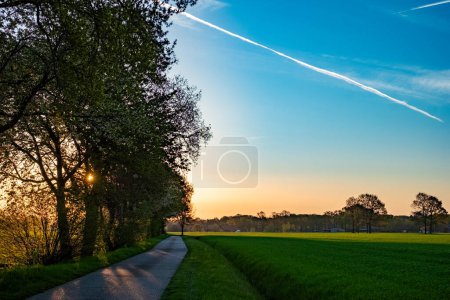 Obraz oddaje pogodne piękno wczesnego ranka na wiejskiej drodze. Linia drzew po lewej ramie ścieżka, która cofa się w oddali. Niebo jest zapierającym dech w piersiach płótnem jasnego błękitu