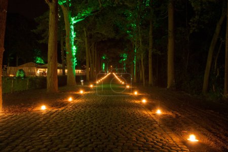 Un mágico escenario nocturno donde un sendero forestal está bellamente iluminado por el cálido resplandor de las velas de tierra y las caprichosas luces de hadas envueltas entre los árboles. Esta escena tranquila invita a los espectadores