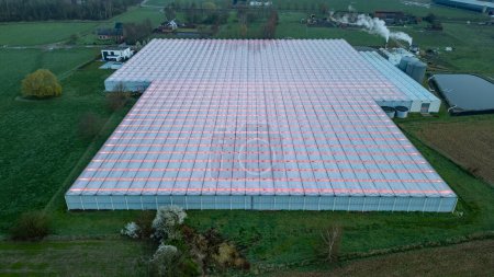 Foto de Duffel, Bélgica, 20 de marzo de 2024, La imagen de arriba captura la extensión de un enorme complejo de invernadero bañado en el resplandor de las luces led, pintando un lienzo agroindustrial a través de la zona rural - Imagen libre de derechos