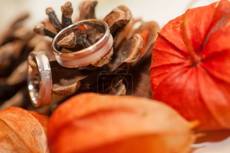 Nestled amongst pine cones and vibrant orange accents, a pair of wedding rings symbolize a couples love and commitment. The soft focus foreground leads to the rings, drawing attention to their
