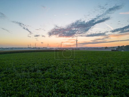 This inspiring image taken at dawn captures a field of crops stretching out towards the horizon, where a line of wind turbines stands against the colorful morning sky. The turbines symbolize renewable