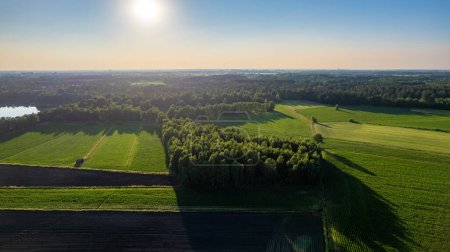 This stunning aerial photograph captures the serene beauty of sprawling farmlands at the golden hour of sunrise. The horizon is kissed by the warm glow of the sun, which casts long shadows and