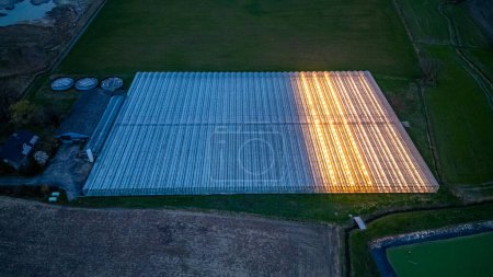 An overhead view as dusk falls, capturing the vast expanse of a greenhouses glowing structure amidst the surrounding darkened fields, a testament to the scale of modern agriculture. Twilight Glow on