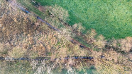 Overhead view captures the contrasting textures and colors of a meandering creek cutting through a field in transition. Top-Down View of a Seasonal Creek Amidst Transitioning Vegetation. High quality