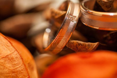 The intimate close-up captures the elegance and simplicity of wedding bands, symbolizing an unbreakable bond. Placed delicately against a backdrop of warm, autumn-hued leaves, the rings glisten