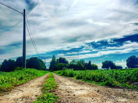 A rural landscape is dramatized by an expanse of striking clouds over a dirt road, leading the eye through vibrant green fields. The juxtaposition of nature with the solitary power line adds a touch