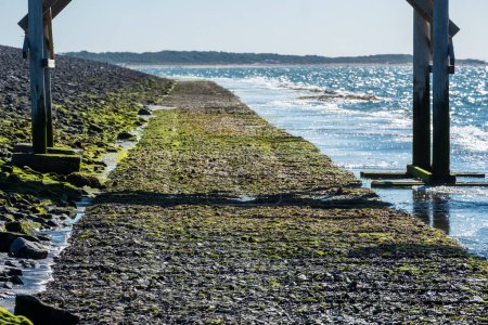Das Bild fängt einen schmalen, von Algen bedeckten Küstenweg ein, der ins Meer führt, flankiert von verwitterten Pfeilern, die sich unter einem klaren blauen Himmel bis zum fernen Horizont erstrecken. Küstenweg mit