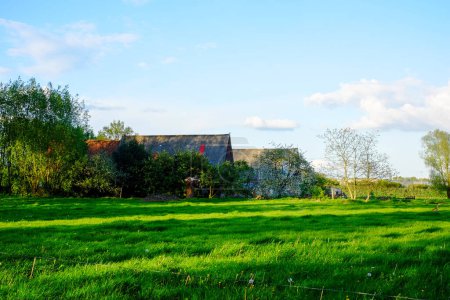 Ein bewachsenes und scheinbar verlassenes Bauernhaus mit beschädigtem Dach steht im Kontrast zu den sattgrünen Wiesen ringsum unter einem strahlend blauen Himmel mit verstreuten Wolken. Die ländliche Landschaft fängt ein
