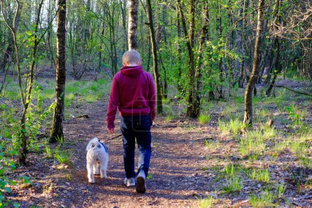 A boy in a maroon hoodie and jeans is seen from behind, walking his fluffy white dog along a sun-dappled forest trail. The surrounding trees cast a mosaic of shadows and light across the path, adding