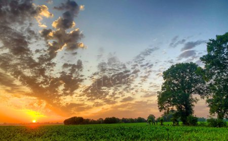 As dawn breaks, the sun rises with a radiant glow, casting a golden light over a sprawling agricultural landscape. The sky, adorned with an array of scattered clouds, transitions from warm tones near