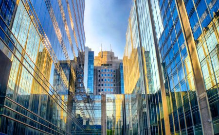 Photo for This image presents a captivating urban canyon formed by the sleek glass facades of modern skyscrapers. The intricate reflections create a visual symphony of light and structure, embodying the vibrant - Royalty Free Image