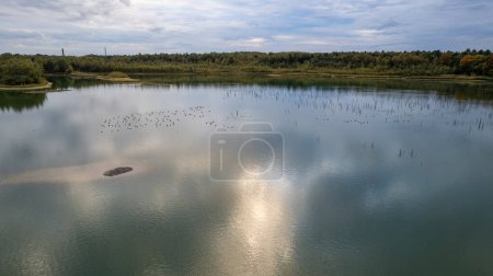 This serene image showcases a sunlit lake, the light delicately playing on the waters surface, creating a dazzling effect. Stump remnants punctuate the lake, adding a touch of mystery and history to