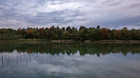 The image captures the essence of autumn with a tranquil lake in the foreground and a forest showcasing a palette of fall colors. The overcast sky above sets a serene mood, with the water mirroring