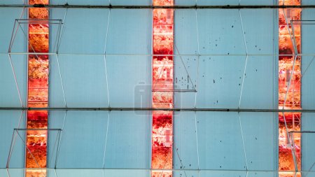 This striking image captures the intersection of technology and horticulture within a futuristic greenhouse. Vivid red LED lights bathe the plant beds, set against the geometric blue panels of the
