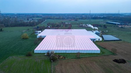 Foto de Duffel, Bélgica, 20 de marzo de 2024, Capturada desde arriba, esta imagen ilustra el amplio tramo de invernaderos modernos que brillan con un tono rosado, enclavado en un entorno rural. La antena - Imagen libre de derechos
