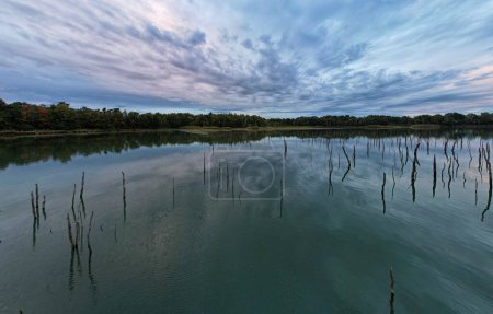 This tranquil scene showcases a serene lake at dusk, with the remnants of trees jutting out of the reflective water creating a poignant contrast against the dramatic, cloud-streaked sky. The fading