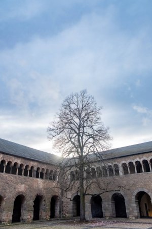 Trier, Rijnland-Palts, Deutschland, 23. März 2024, Dieses eindrucksvolle Bild zeigt einen blattlosen Baum, der sich in der Mitte eines ruhigen Kreuzganges in den Himmel reckt. Die Bögen der Umgebung
