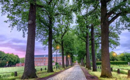 This image captures a serene early morning scene along a cobblestone pathway lined with tall, mature trees, leading towards a classical building. The scene is illuminated by streetlights, casting soft