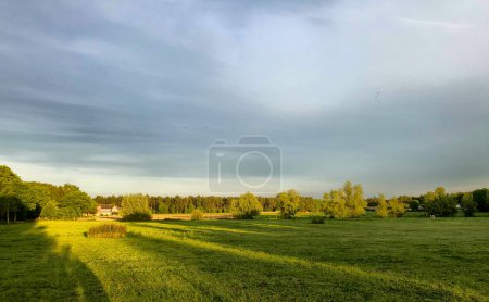 This image features a vibrant green field bathed in the warm, golden light of an early morning sun. Long shadows stretch across the grass, adding depth and texture to the landscape. Distant trees line