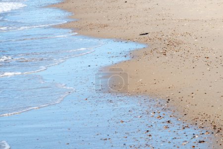 This image captures a section of the beach where the foamy edge of the sea meets the sandy shore. It is dotted with scattered shells and debris, basking under a bright sun that brings a sparkle to the