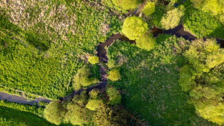 Diese fesselnde Luftaufnahme zeigt einen schlängelnden Fluss, der sich durch einen üppigen, dichten Wald schlängelt und dabei beeindruckende natürliche Muster erzeugt. Das leuchtend grüne Laub wird durch das Sonnenlicht hervorgehoben, was die