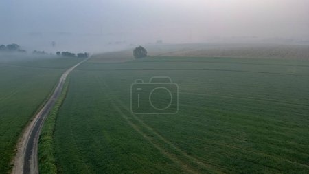 An aerial view captures a serene, foggy morning over a lush countryside landscape. A narrow road bisects vibrant green fields, stretching into the misty horizon. The soft, diffused light of dawn