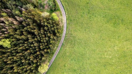 Dieses Luftbild zeigt den markanten Kontrast zwischen einem üppigen, lebendig grünen Grasfeld und einem dichten Wald. Die geschwungene Grenze, an der sich die beiden Landschaften treffen, wird durch eine enge, gewundene