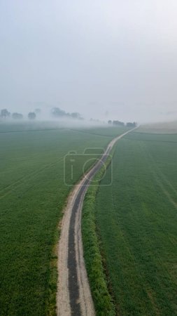 This aerial image captures a narrow country road slicing through vibrant green fields on a foggy morning. The road creates a compelling visual line that draws the eye through the mist, which hangs low