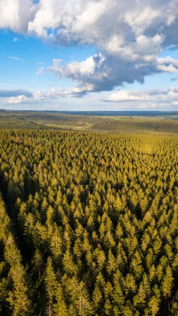 Cette image aérienne montre une vue étendue d'une forêt de pins, s'étendant à perte de vue, sous un ciel dramatique rempli de nuages. La lumière du soleil pénètre par endroits, coulant dynamique