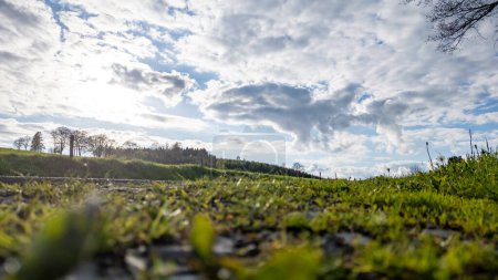 Captured from a low angle, this image features the lush, grassy terrain of the Hautes Fagnes region under a dynamic sky filled with scattered clouds. The foreground shows a close-up of greenery