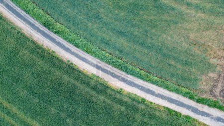 This aerial image captures a rural road cutting through lush green fields, showcasing the simplicity and beauty of agricultural landscapes. The contrasting textures and shades of green create a