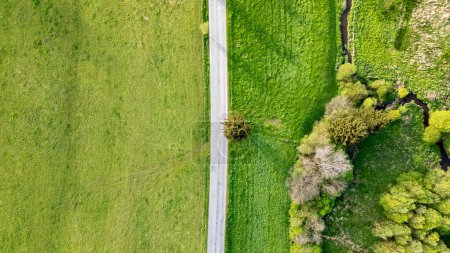 This striking aerial photograph captures a narrow road dividing two distinctly different landscapes: a vibrant, uniform green field on one side and a cluster of dense, varied green trees on the other