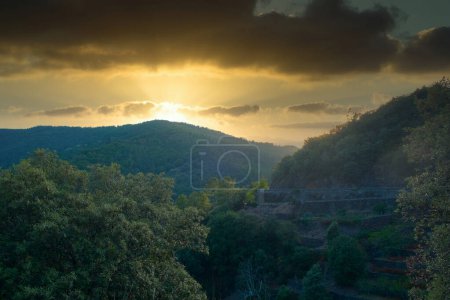 A breathtaking view of a sunset over a verdant landscape featuring rolling hills and terraced greenery. The golden sunlight breaks through the clouds, casting a warm glow over the lush vegetation. The
